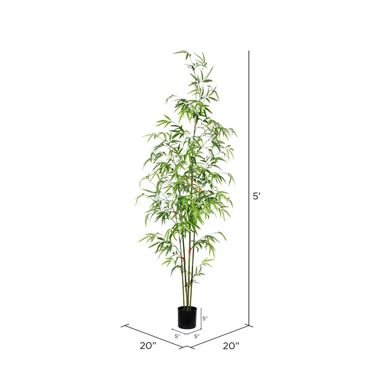 Birch Lane™ Artificial Bamboo Tree in Pot & Reviews Wayfair